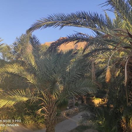 Bar Suite Ein Gedi Exterior foto
